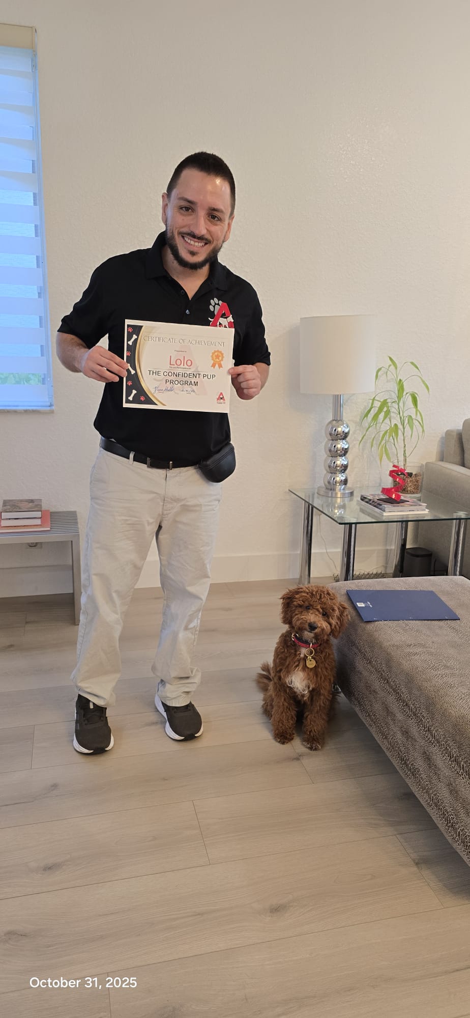 Trainer holding Lolo's Confident Pup Program certificate next to a small poodle sitting politely.