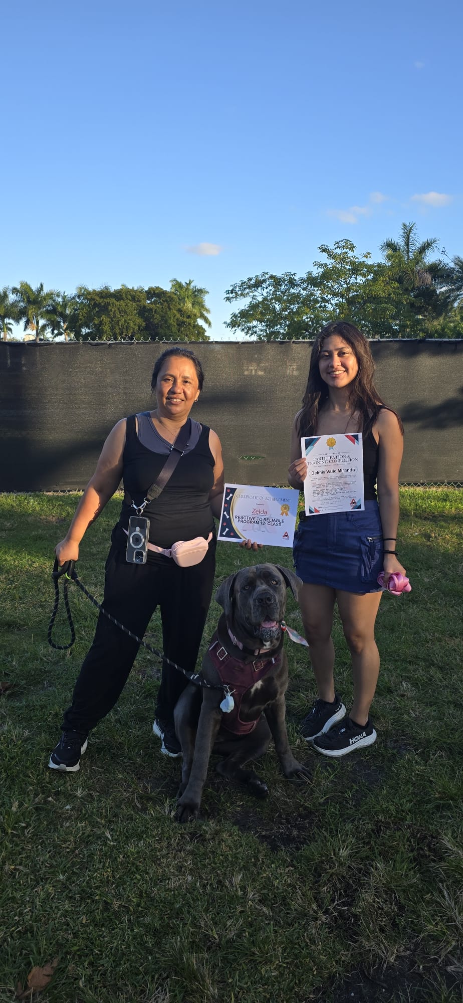 Two clients outdoors holding Zelda's Reactive to Reliable certificates with a Cane Corso sitting calmly between them.