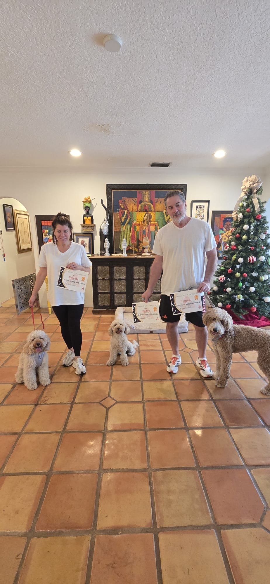 A couple in their living room holding three 21-Day Board and Train certificates with three doodles holding a sit-stay.