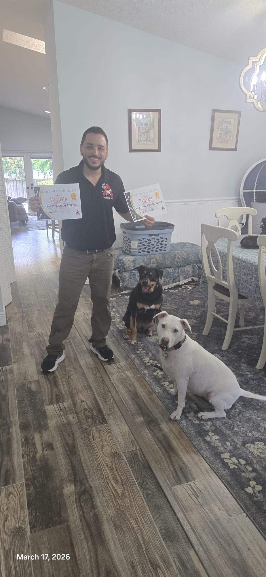 Trainer holding two certificates while two dogs hold a sit-stay behind him.