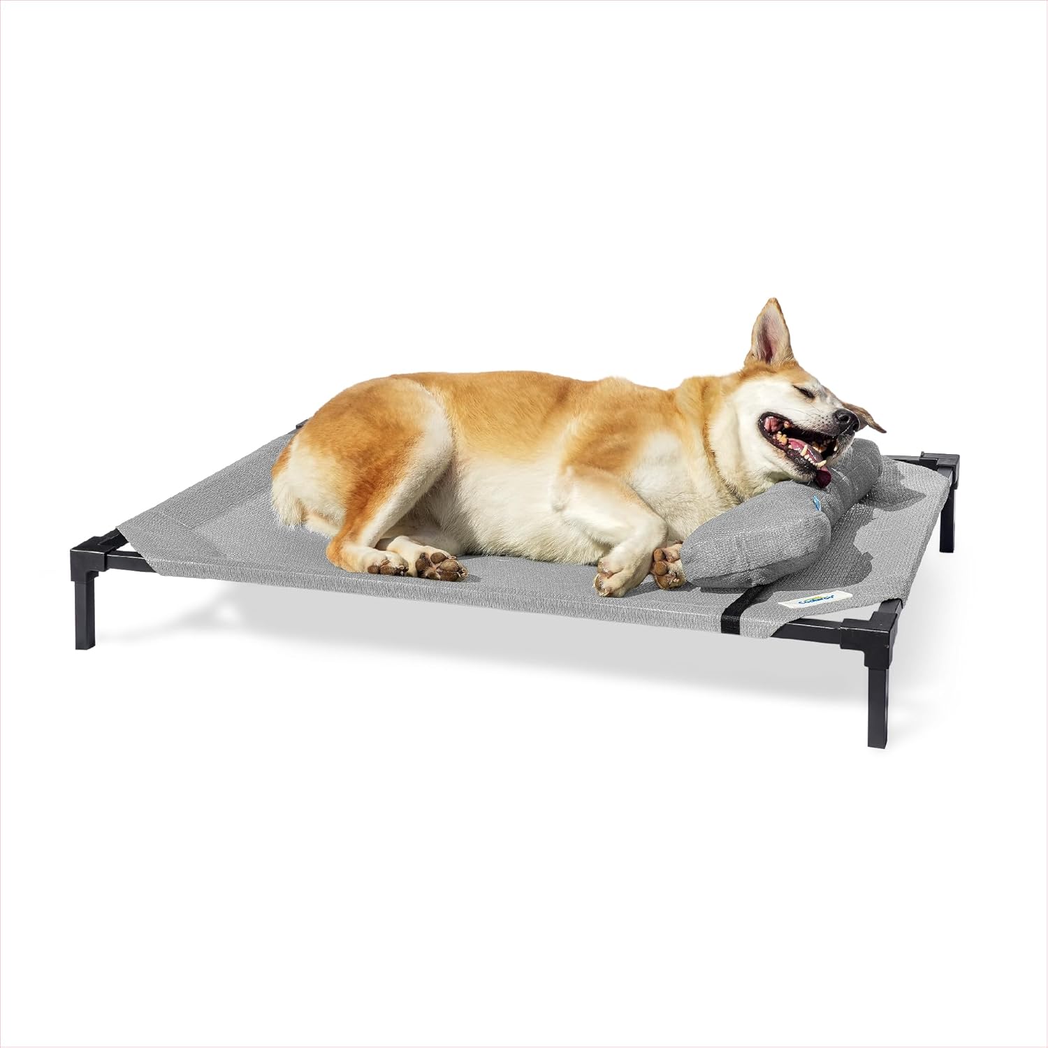Coolaroo Elevated Dog Bed