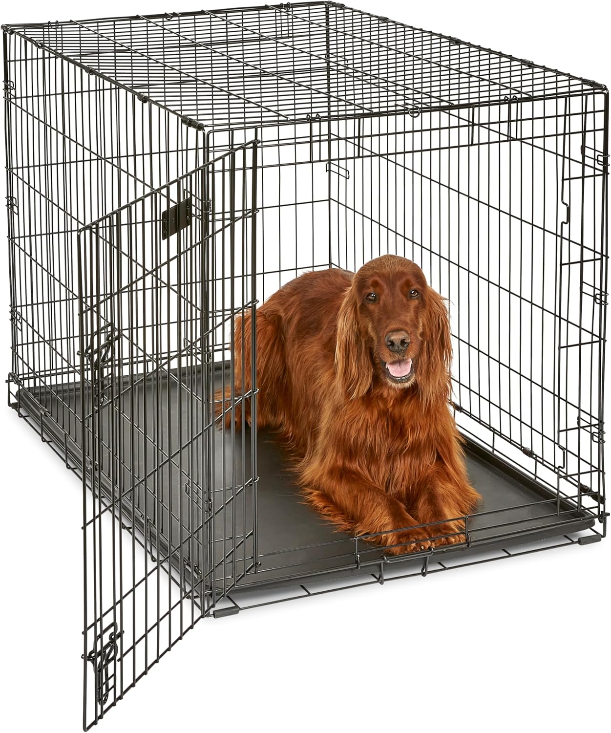 MidWest Homes for Pets iCrate