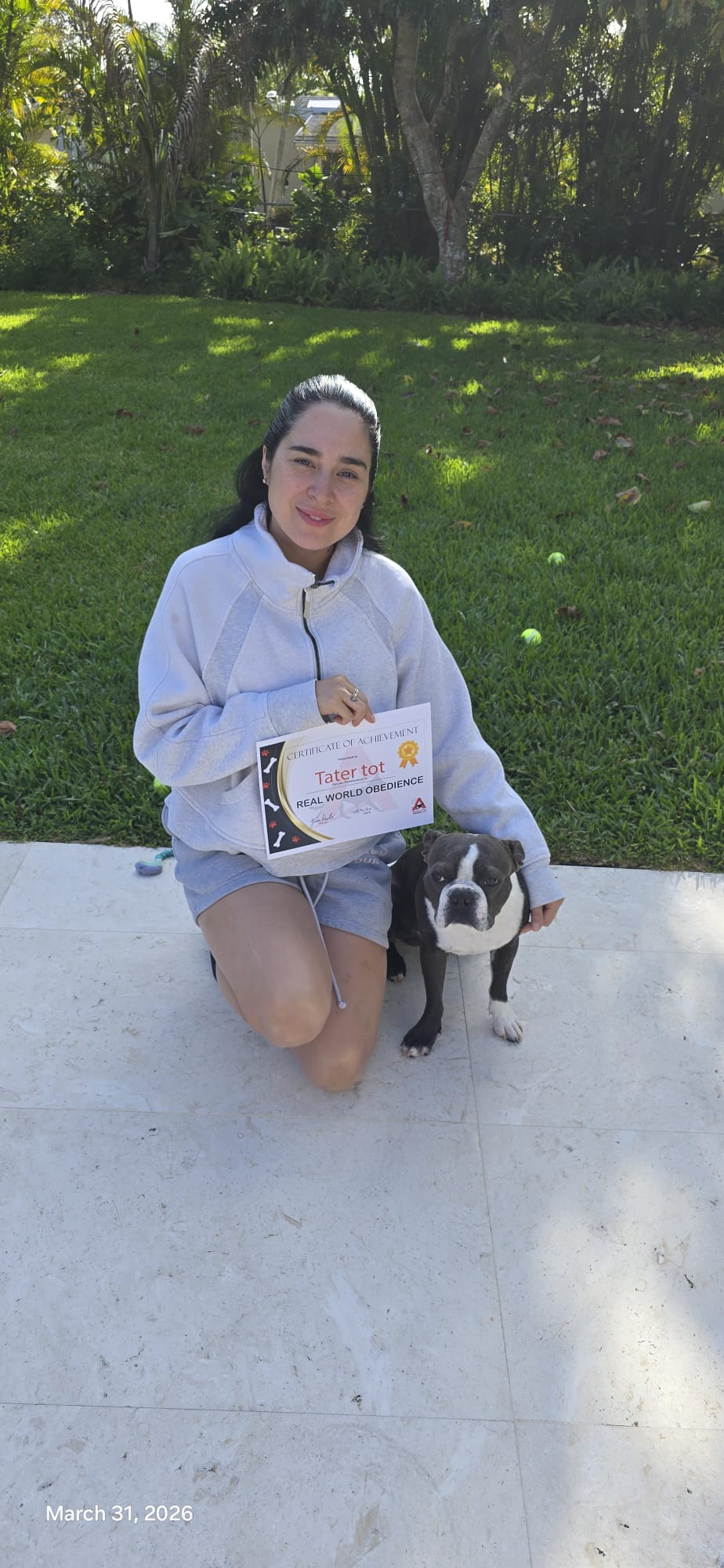 A client kneeling on a patio holding Tater Tot's Real World Obedience certificate beside her Boston Terrier.