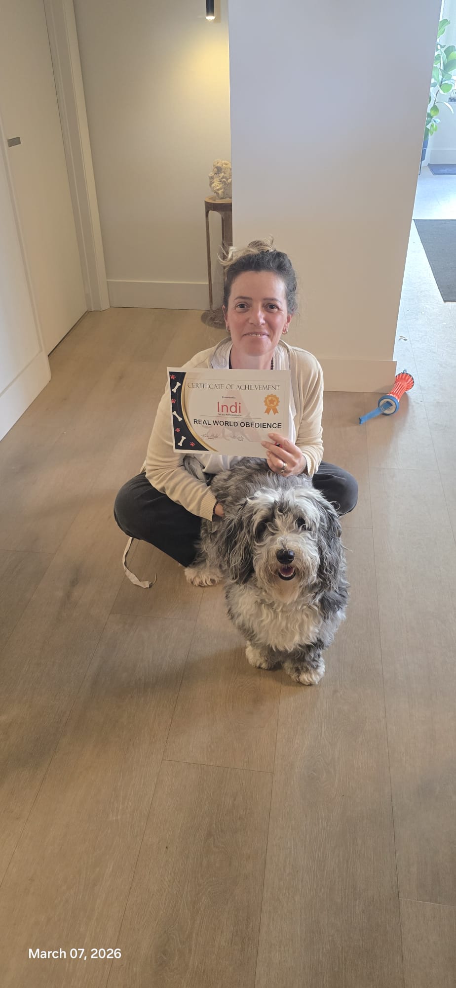 A client sitting on the floor with her grey shaggy dog while holding Indi's Real World Obedience certificate.