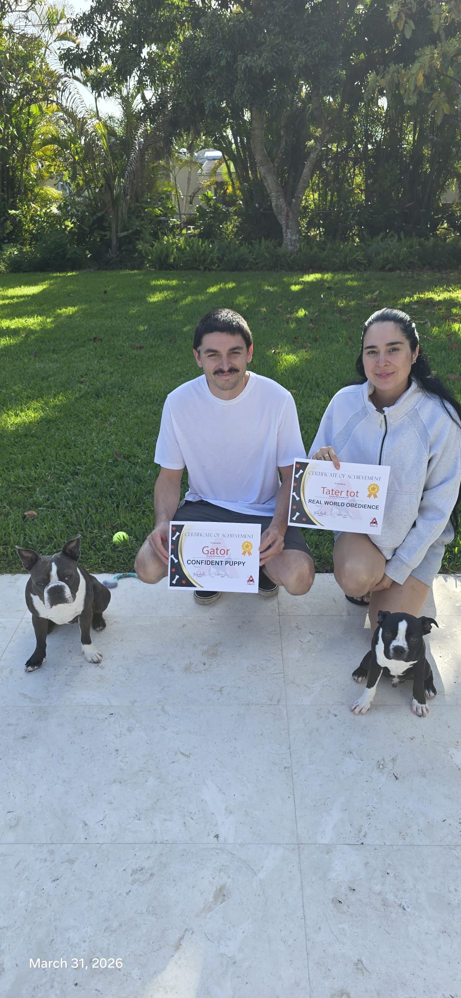 A couple kneeling on a patio holding certificates for Gator and Tater Tot with their two Boston Terriers sitting beside them.