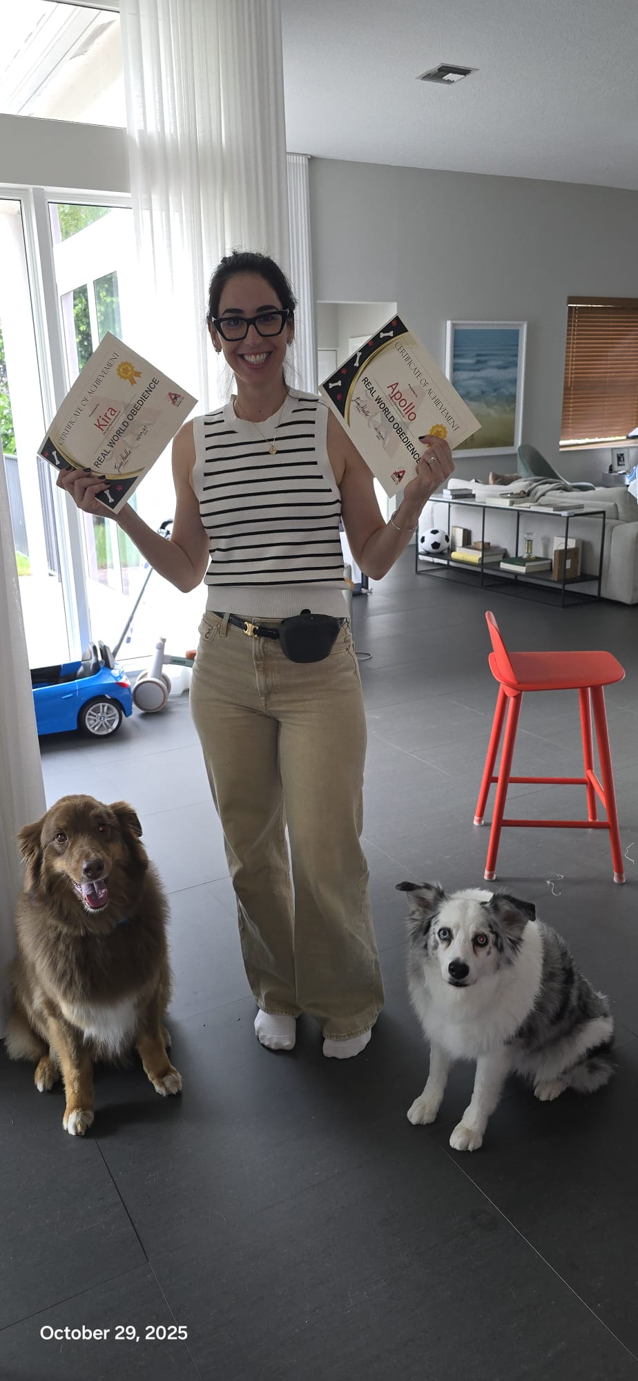 A client holding two Real World Obedience certificates while her two Australian Shepherds sit calmly beside her.
