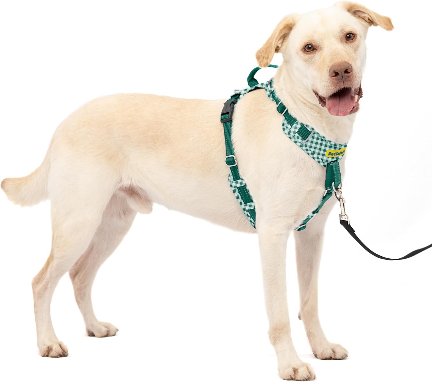 PetSafe Easy Walk Harness
